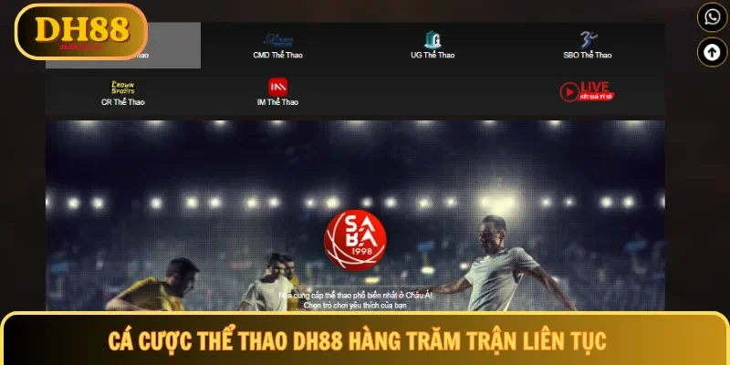 Cá cược thể thao DH88 hàng trăm trận liên tục