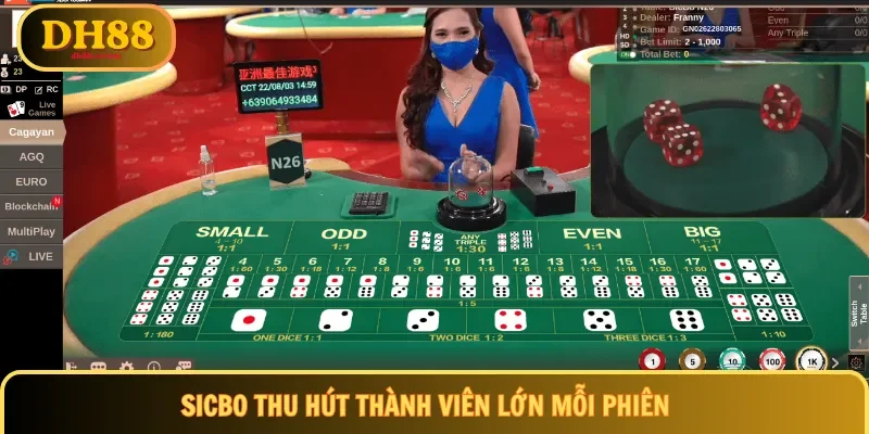 Sicbo thu hút thành viên lớn mỗi phiên
